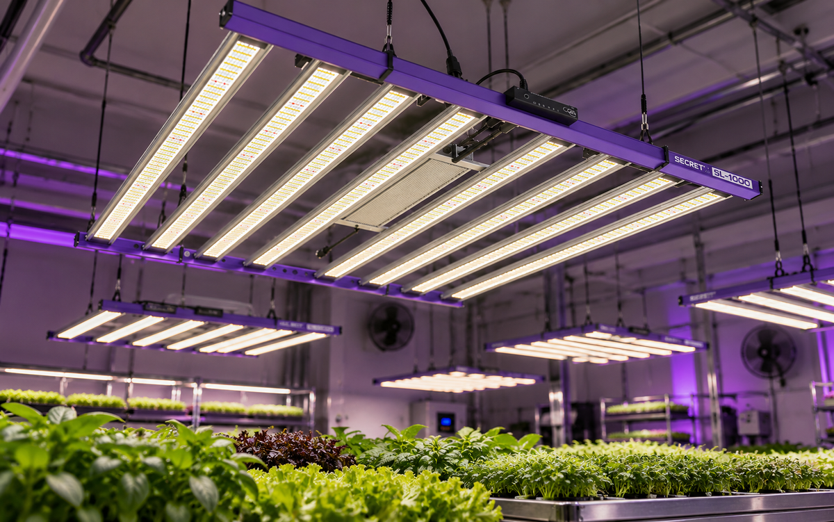 Secret Lighting LED Grow Lights: The Complete Buyer’s Guide
