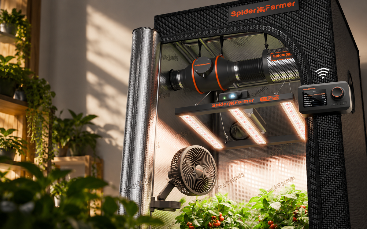 Grow Light Coverage Guide: How to Choose the Right Light for Your Grow Tent