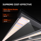 Spider Farmer G1000W 1000W Smart LED Grow Tent Kit with 5' × 5' Grow Tent