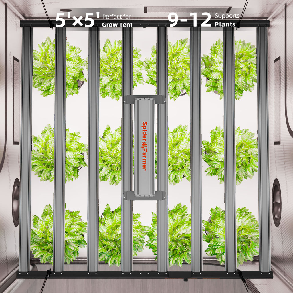 Spider Farmer G1000W 1000W Smart LED Grow Tent Kit with 5' × 5' Grow Tent