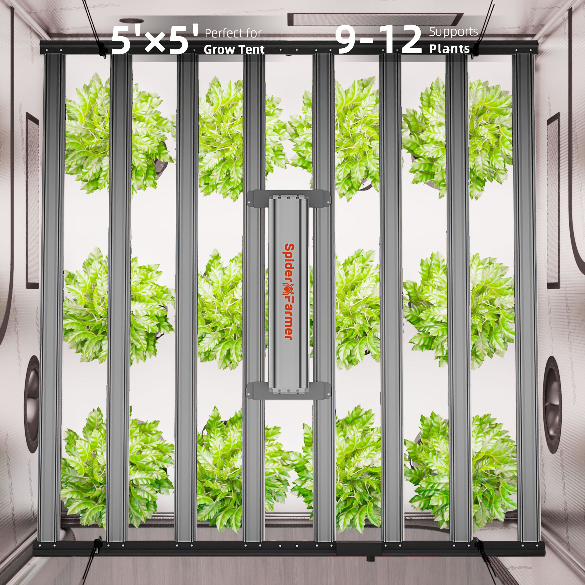 Spider Farmer G1000W 1000W Smart LED Grow Tent Kit with 5' × 5' Grow Tent