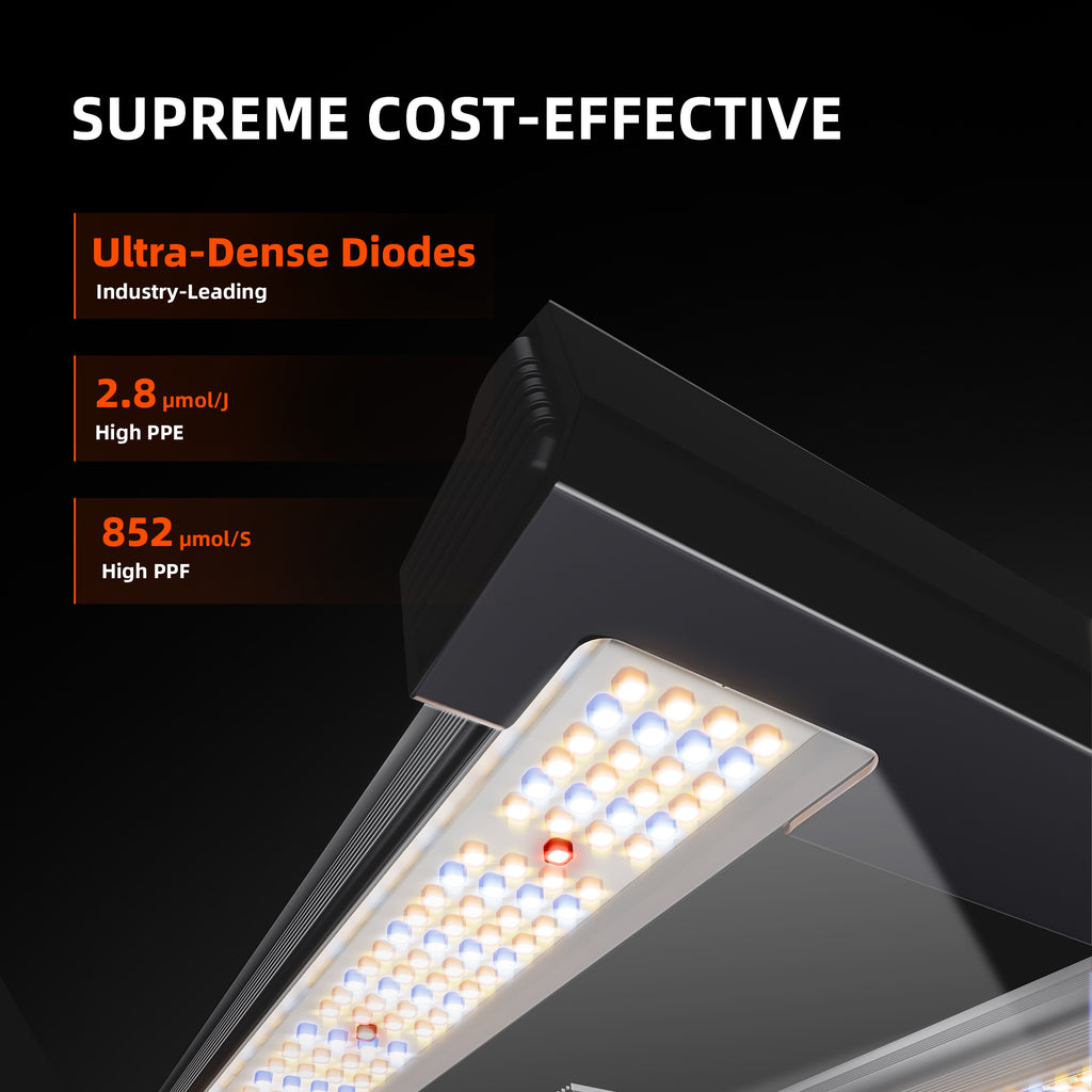 Spider Farmer G3000 300W Full Spectrum LED Grow Light