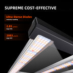 Spider Farmer G7000 730W Smart LED Grow Tent Kit with 5' × 5' Grow Tent