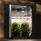 Spider Farmer G8600 800W Full Spectrum LED Grow Light