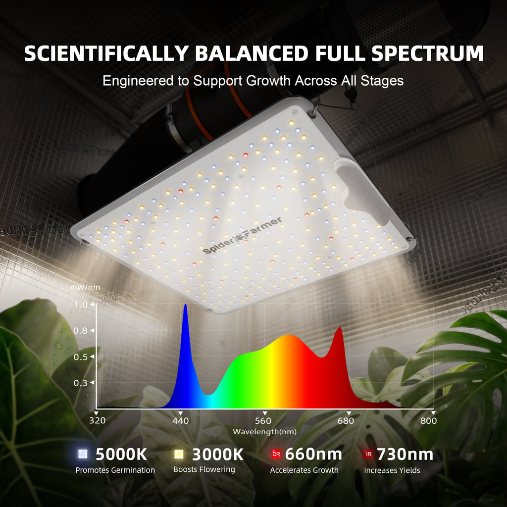 Spider Farmer SF1000 100W Full Spectrum Dimmable LED Grow Light
