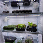 Active Grow Clones & Cuttings 3-Tier Walden White LED Grow Tent Kit