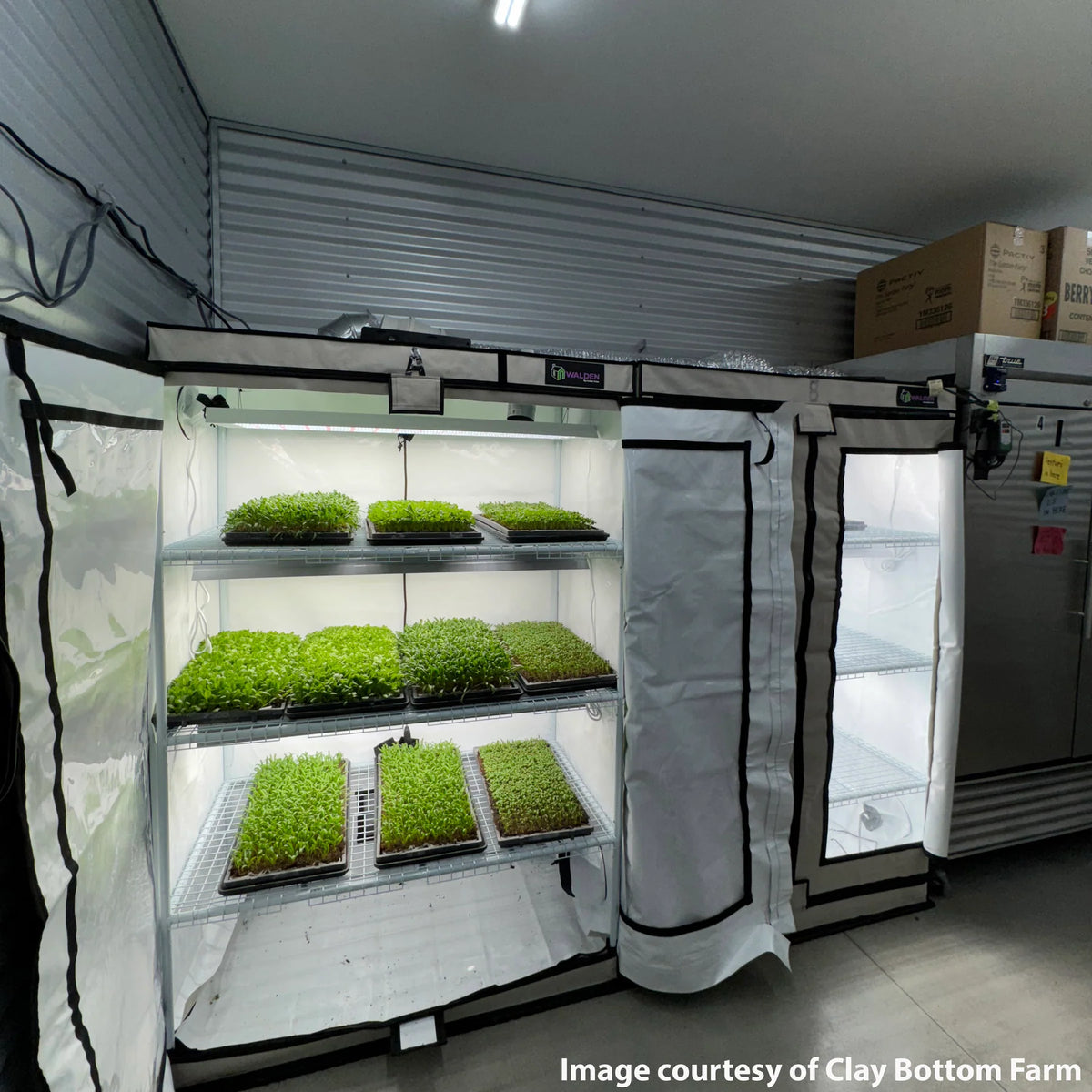 Active Grow Microgreens & Herbs 3-Tier Walden White LED Grow Tent Kit