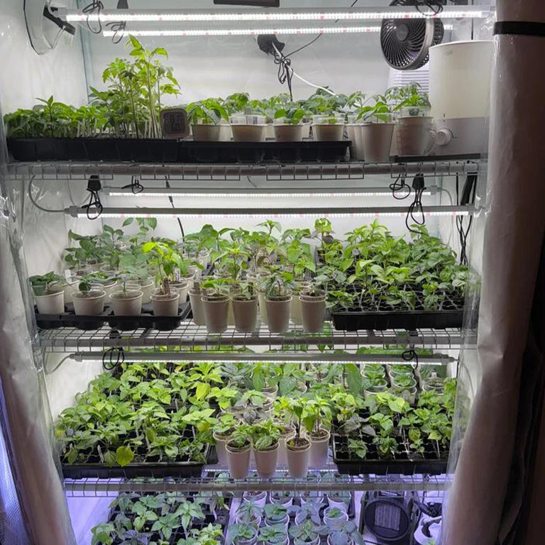 Active Grow Seeds & Starts 3-Tier Walden White LED Grow Tent Kit