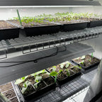 Active Grow T5 HO 2.0 4FT 4 Lamp LED Grow Light – Sun White Spectrum