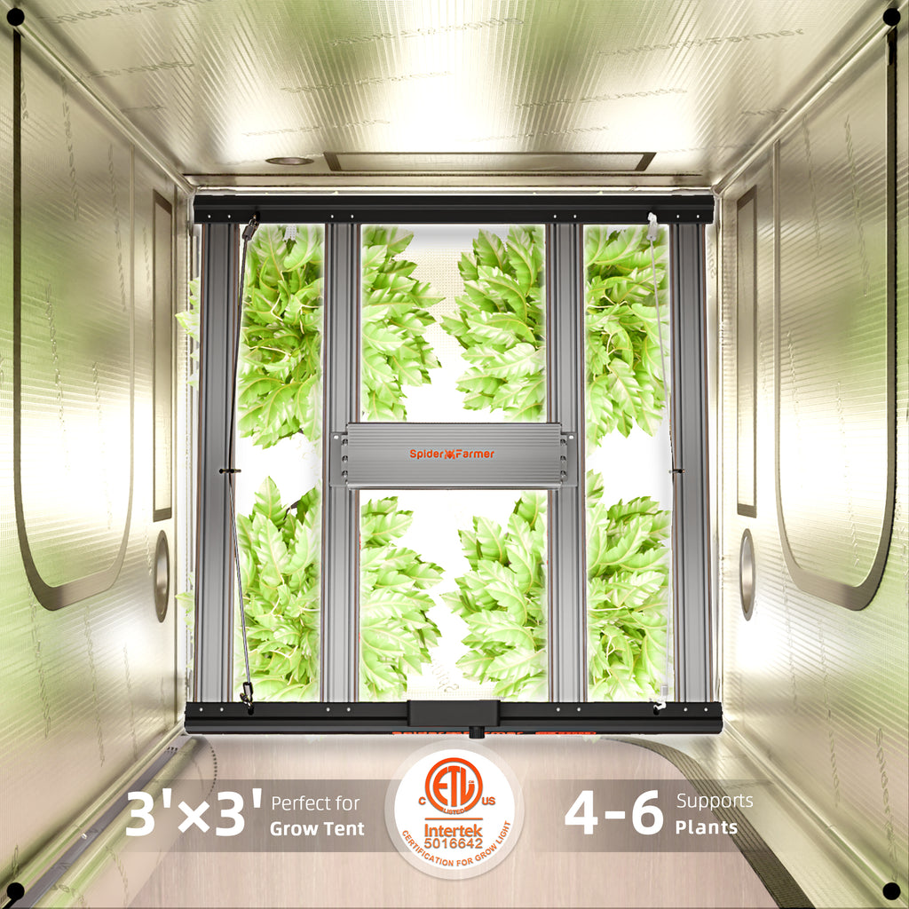 Spider Farmer G3000 300W Full Spectrum LED Grow Light