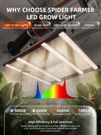 Spider Farmer G3000 300W Smart Grow Tent Kit with 3' × 3' Grow Tent and GGS Controller