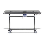 Mobius Infeed Conveyor