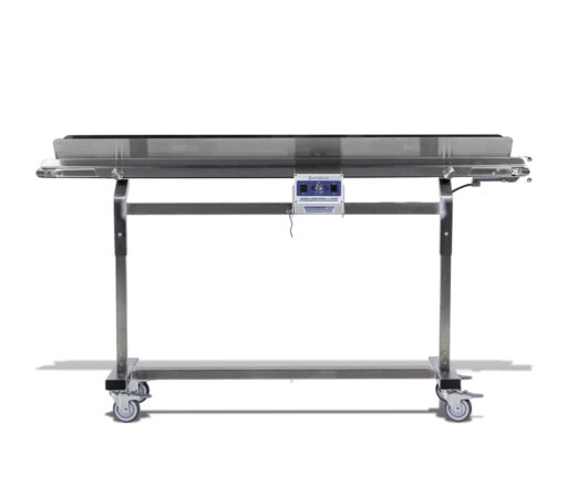 Mobius Infeed Conveyor