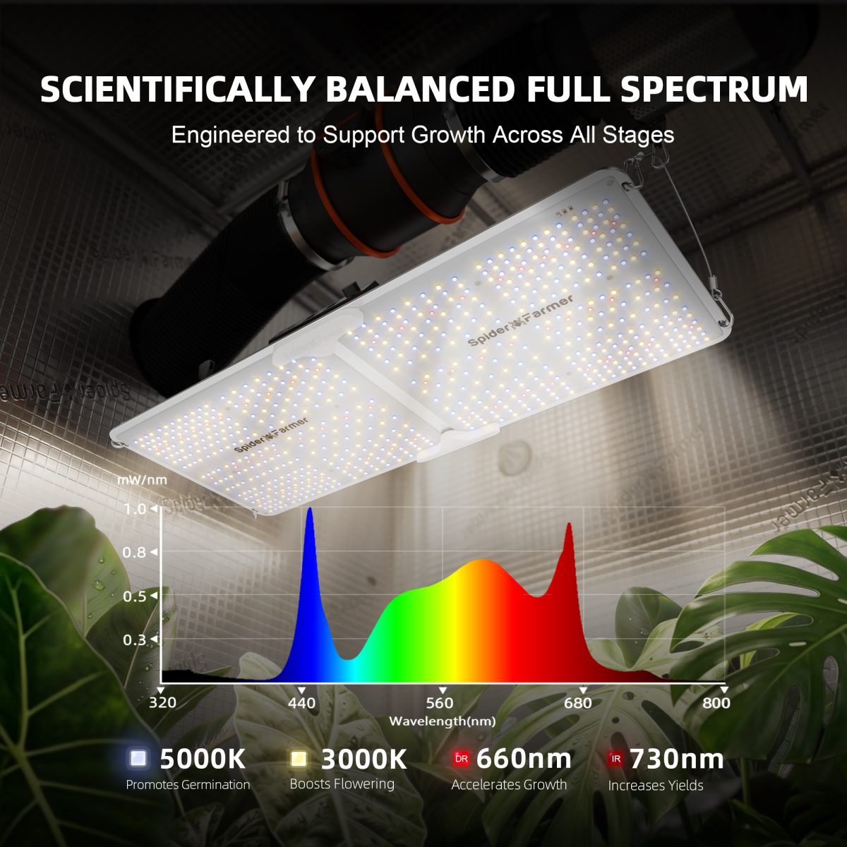 Spider Farmer SF2000 200W Full Spectrum Dimmable LED Grow Light