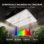 Spider Farmer SF4000 450W Full Spectrum Dimmable LED Grow Light