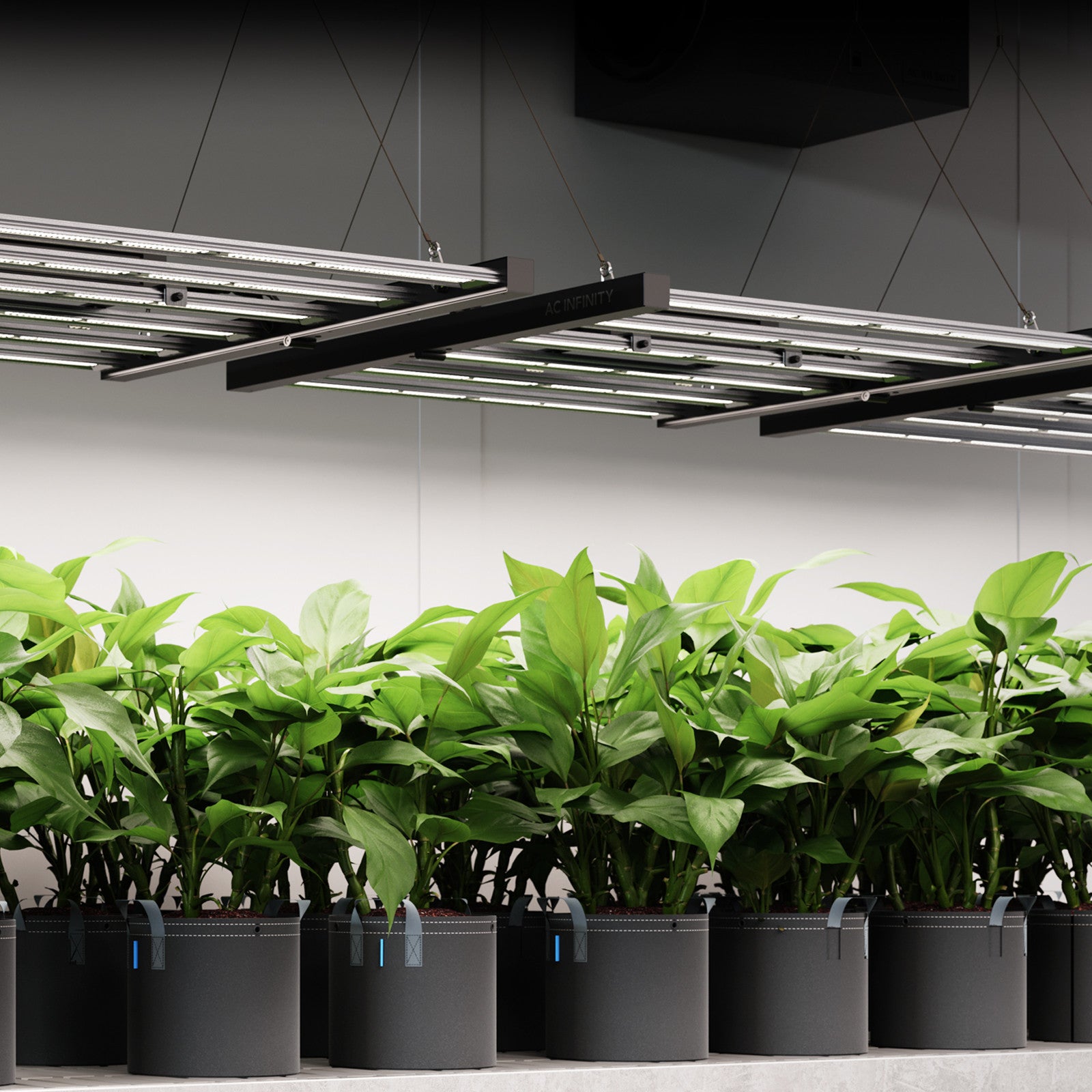 AC Infinity IONFRAME EVO6 500W LED Grow Light