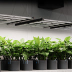 AC Infinity IONFRAME EVO10 1000W LED Grow Light