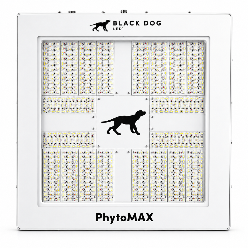 Black Dog LED PhytoMAX-4 20S LED Grow Light