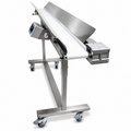 Mobius Infeed Conveyor