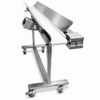 Mobius Infeed Conveyor