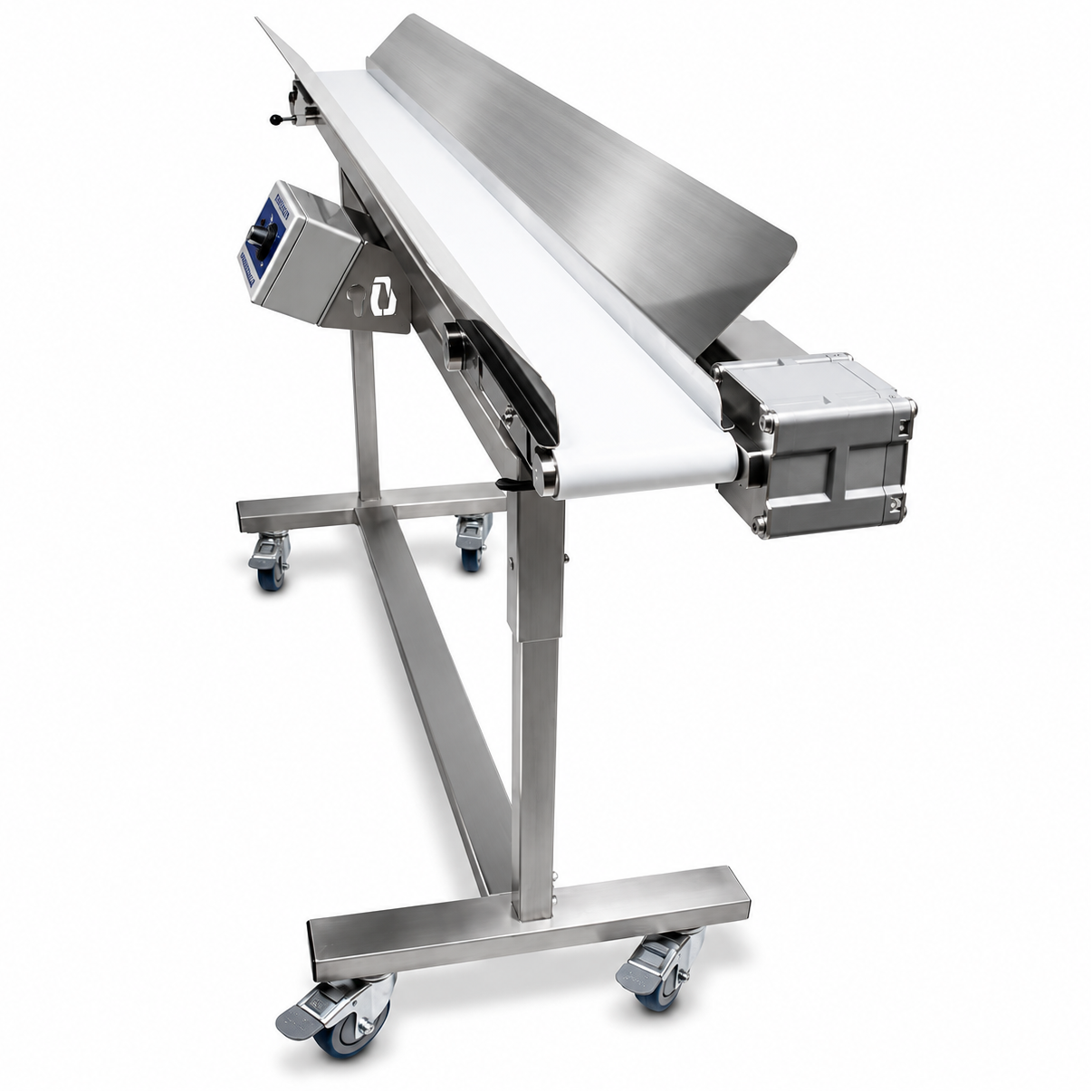 Mobius Infeed Conveyor