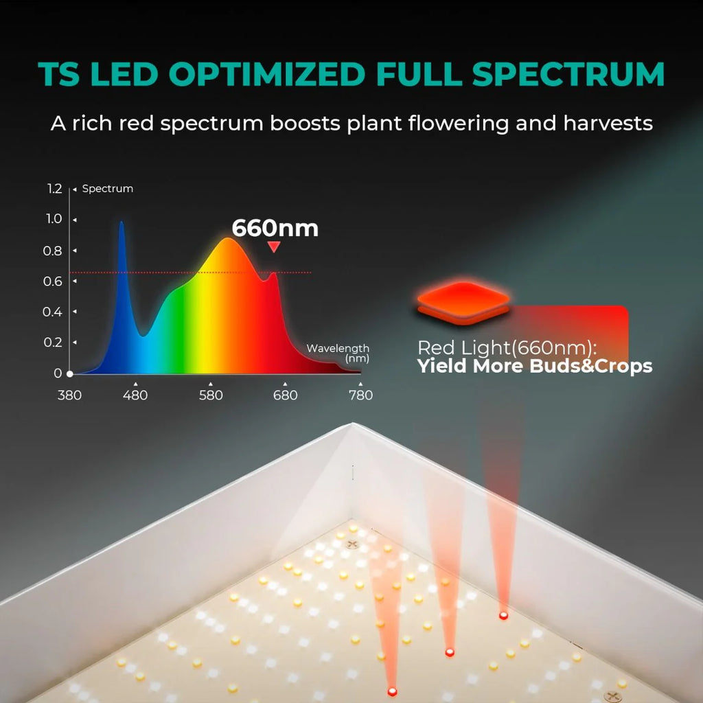 Mars Hydro TSL2000 300W LED Grow Tent Kit with 2' × 4' Grow Tent