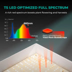 Mars Hydro TSL2000 300W LED Grow Tent Kit with 2' × 4' Grow Tent