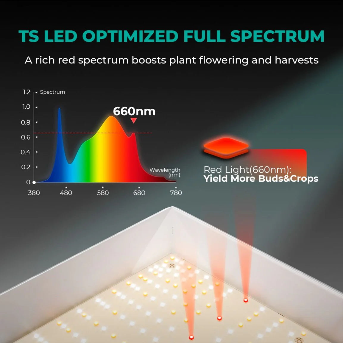 Mars Hydro TSL2000 300W LED Grow Tent Kit with 2' × 4' Grow Tent