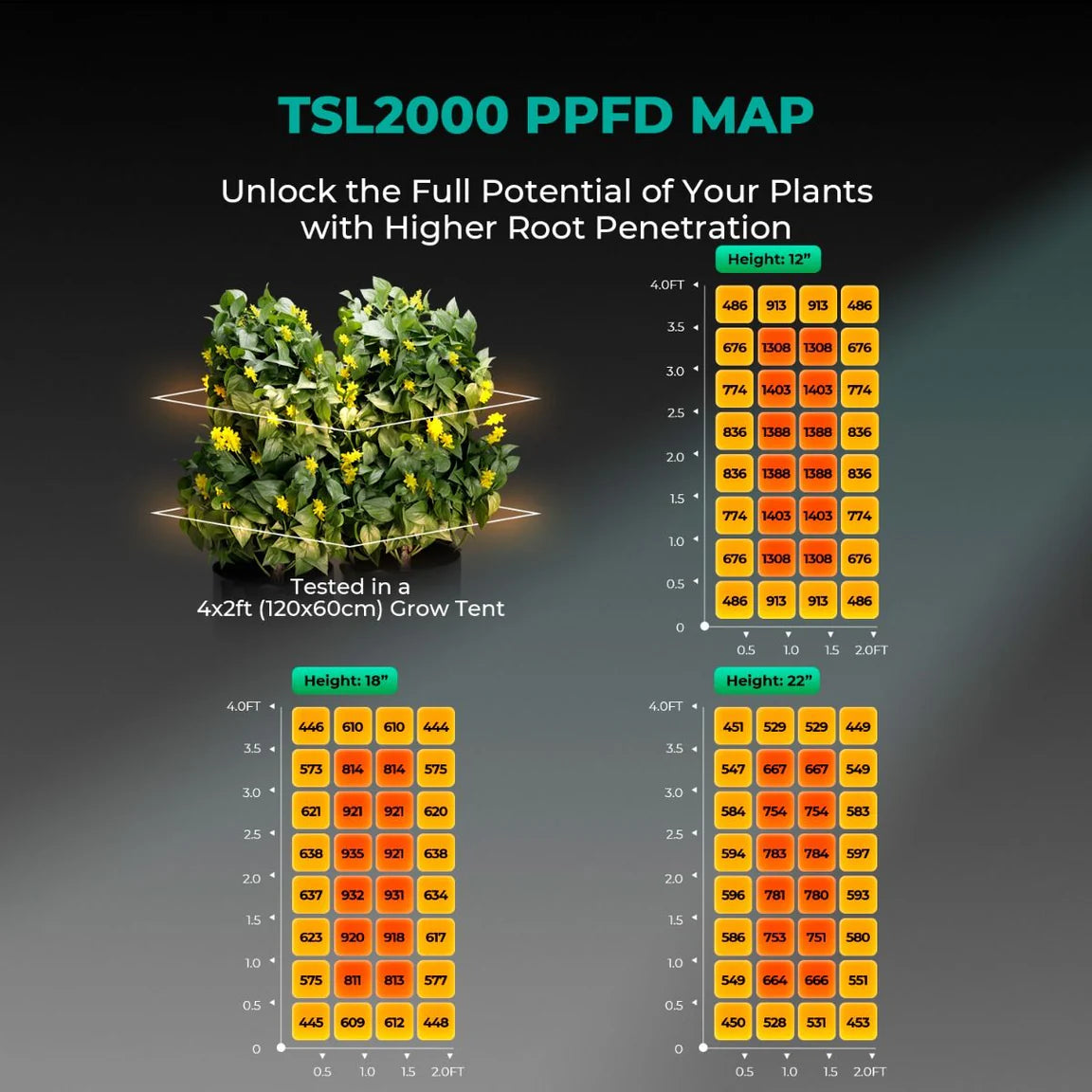Mars Hydro TSL2000 300W LED Grow Tent Kit with 2' × 4' Grow Tent
