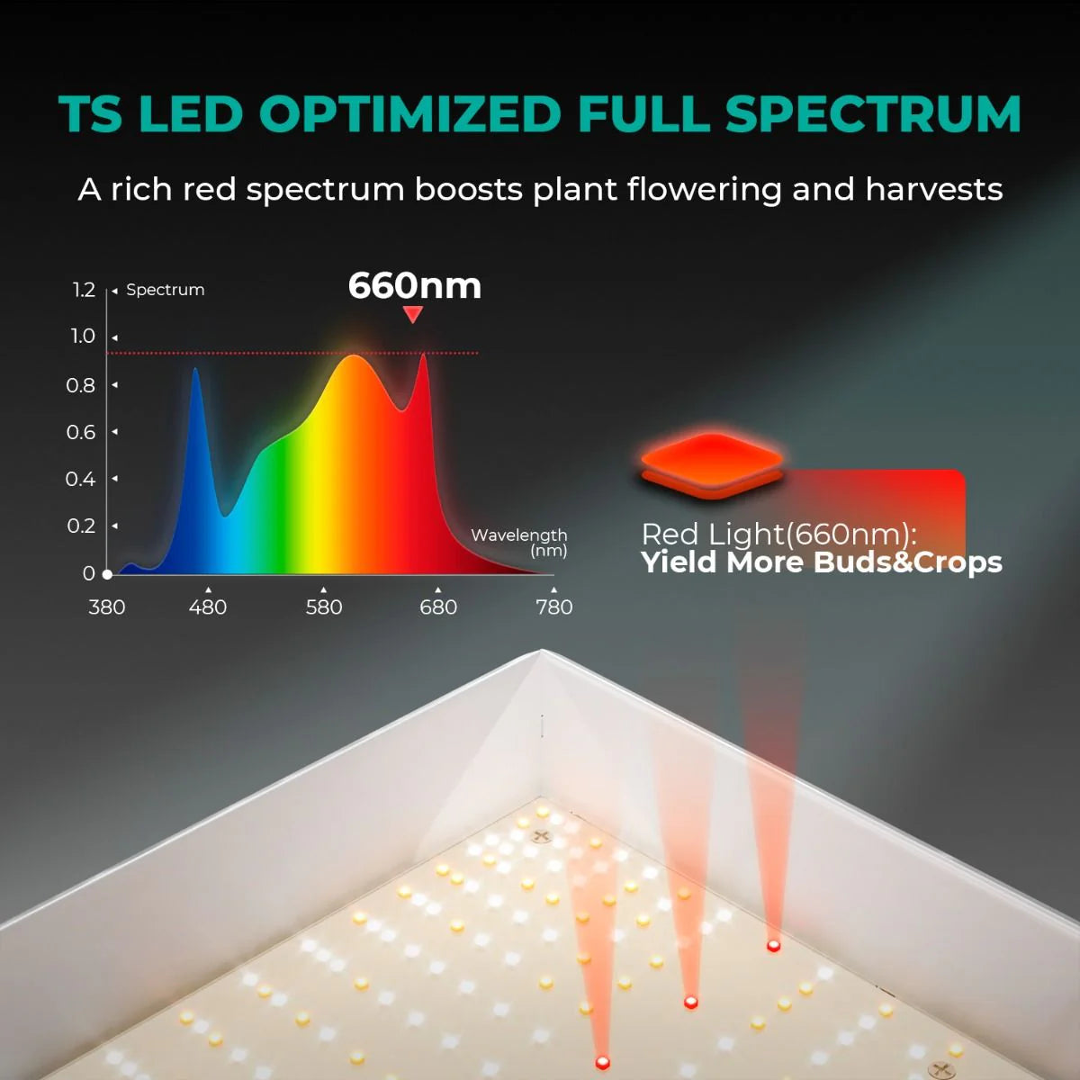 Mars Hydro TSW2000 300W LED Grow Tent Kit with 4' × 4' Grow Tent